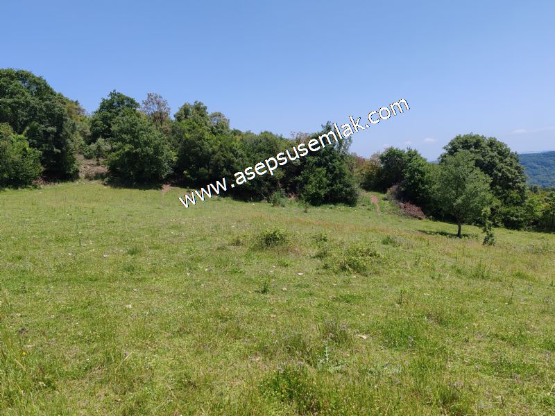 4.600 M2 Yatırımlık Meyva & Hobi Bahçesi Resmi Yolu ve Su Var..