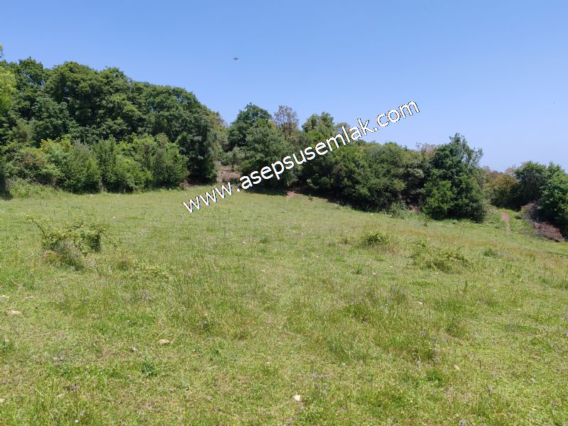 4.600 M2 Yatırımlık Meyva & Hobi Bahçesi Resmi Yolu ve Su Var..