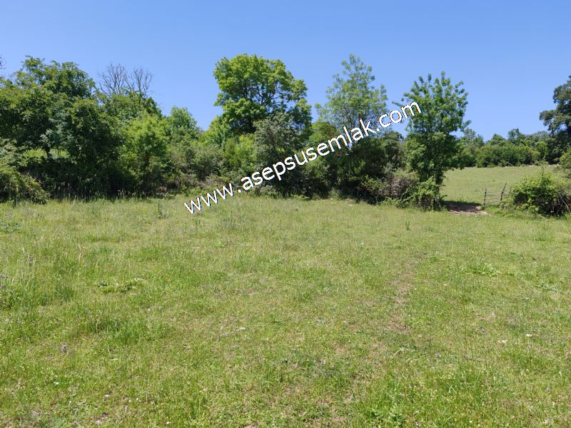 4.600 M2 Yatırımlık Meyva & Hobi Bahçesi Resmi Yolu ve Su Var..