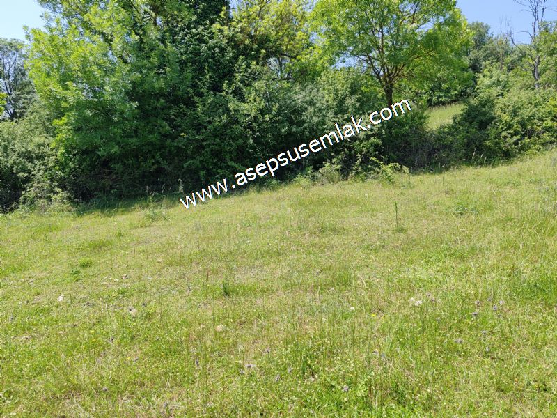 4.600 M2 Yatırımlık Meyva & Hobi Bahçesi Resmi Yolu ve Su Var..