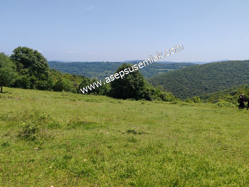 4.600 M2 Yatırımlık Meyva & Hobi Bahçesi Resmi Yolu ve Su Var..