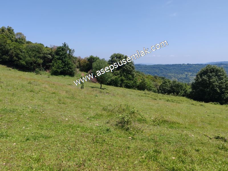 4.600 M2 Yatırımlık Meyva & Hobi Bahçesi Resmi Yolu ve Su Var..