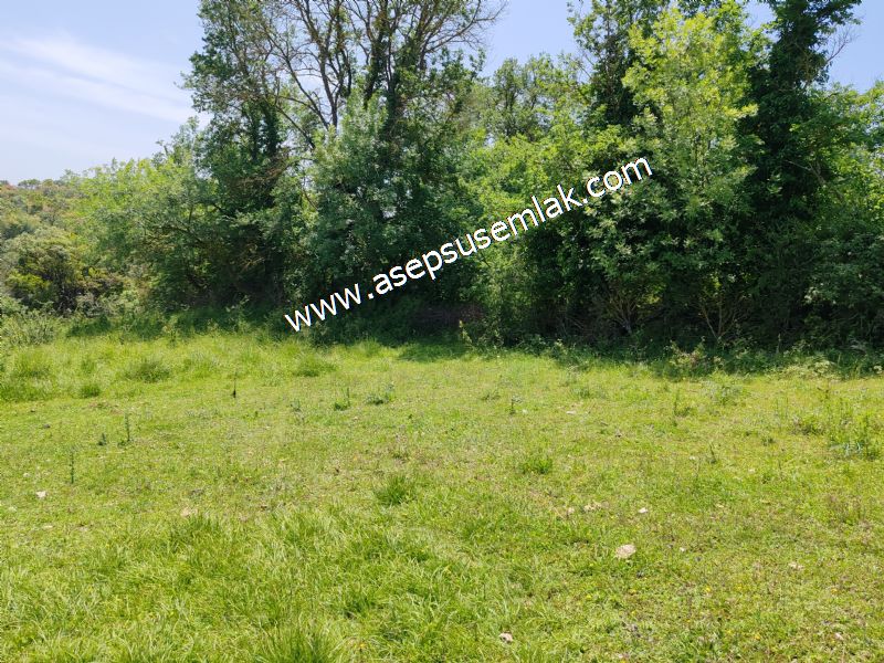 4.600 M2 Yatırımlık Meyva & Hobi Bahçesi Resmi Yolu ve Su Var..