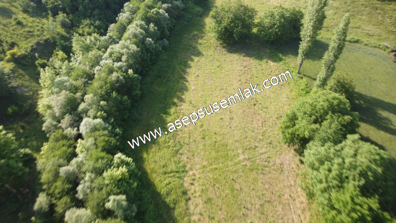 3.625 M2 Güneşli Hobi Bağ-Bahçe Dereye Cepheli Kadastro Yolu Var