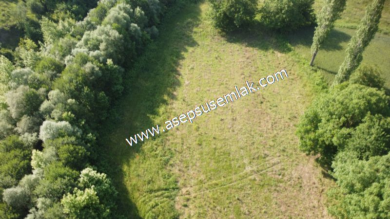 3.625 M2 Güneşli Hobi Bağ-Bahçe Dereye Cepheli Kadastro Yolu Var