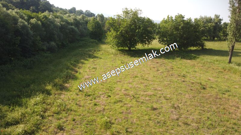 3.625 M2 Güneşli Hobi Bağ-Bahçe Dereye Cepheli Kadastro Yolu Var