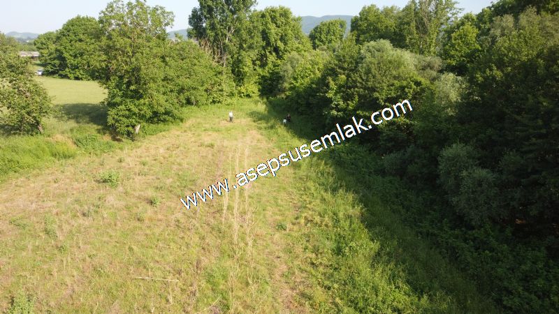 3.625 M2 Güneşli Hobi Bağ-Bahçe Dereye Cepheli Kadastro Yolu Var