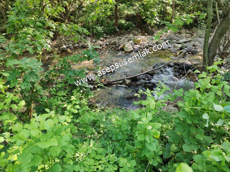3.625 M2 Güneşli Hobi Bağ-Bahçe Dereye Cepheli Kadastro Yolu Var