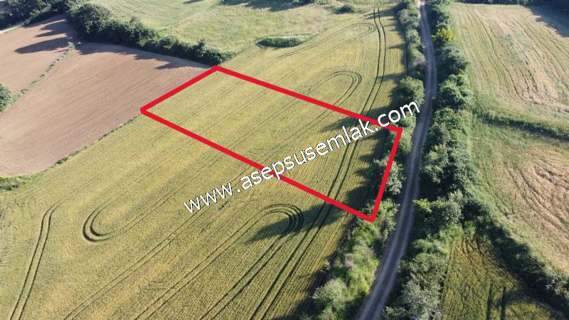 2.243 m2 Resmi Kadastro Yola Cepheli Köy'e Yakın Hobi Bahçesi