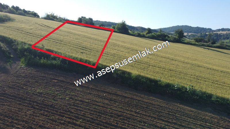 2.243 m2 Resmi Kadastro Yola Cepheli Köy'e Yakın Hobi Bahçesi