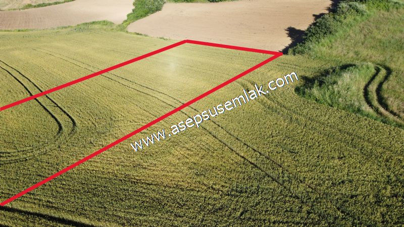 2.243 m2 Resmi Kadastro Yola Cepheli Köy'e Yakın Hobi Bahçesi