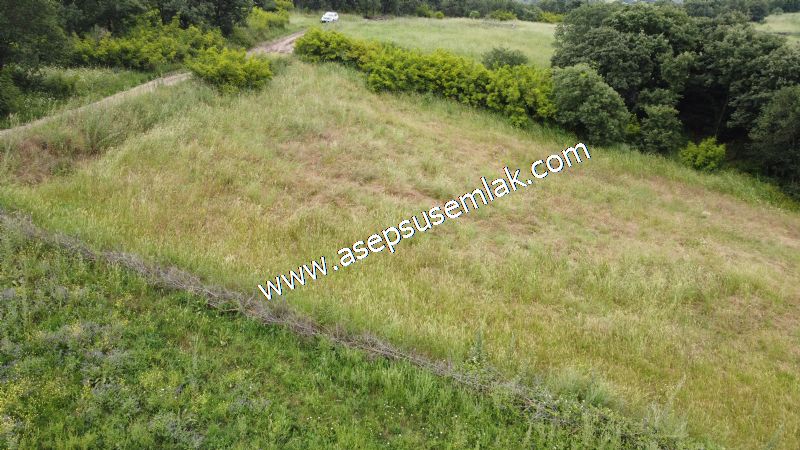4.024 m2 Resmi Kadastro Yola Cepheli Bağ-Bahçe, Hobi Bahçesi