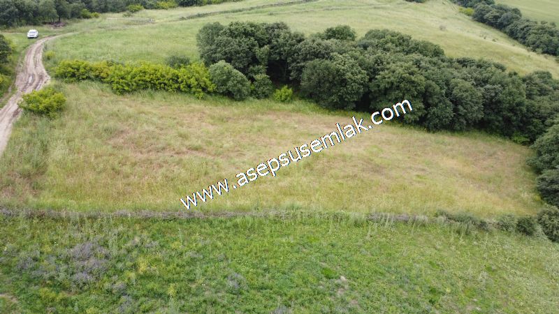 4.024 m2 Resmi Kadastro Yola Cepheli Bağ-Bahçe, Hobi Bahçesi