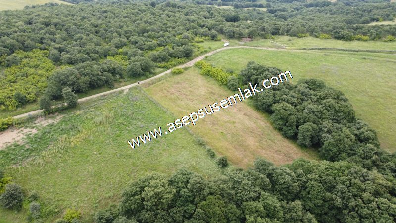 4.024 m2 Resmi Kadastro Yola Cepheli Bağ-Bahçe, Hobi Bahçesi