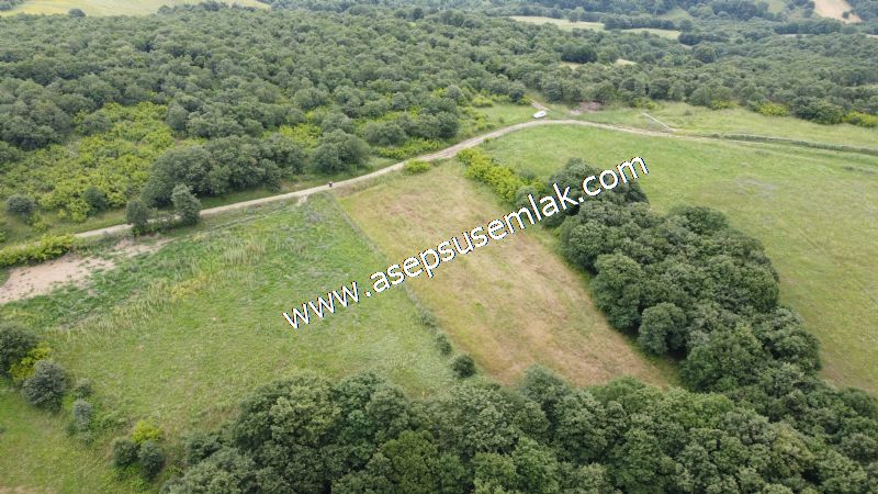 4.024 m2 Resmi Kadastro Yola Cepheli Bağ-Bahçe, Hobi Bahçesi