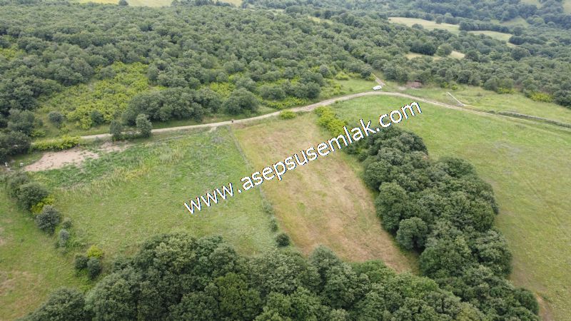 4.024 m2 Resmi Kadastro Yola Cepheli Bağ-Bahçe, Hobi Bahçesi