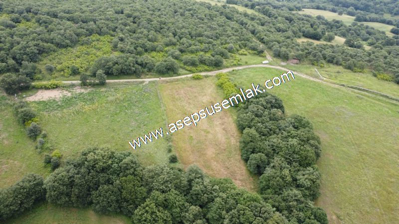 4.024 m2 Resmi Kadastro Yola Cepheli Bağ-Bahçe, Hobi Bahçesi