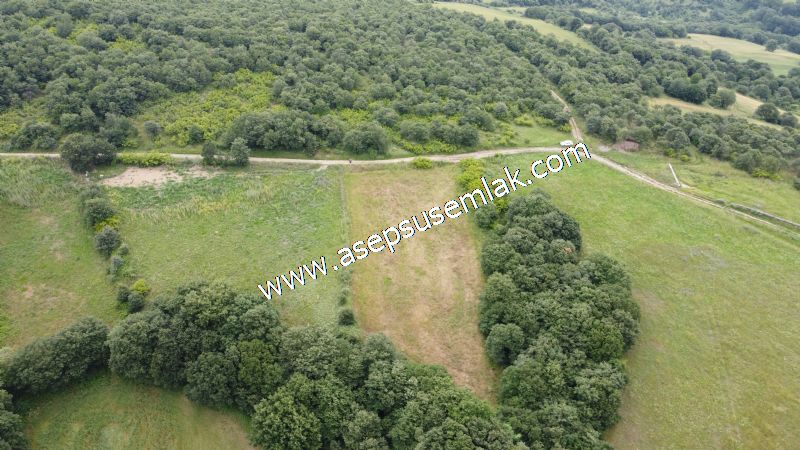 4.024 m2 Resmi Kadastro Yola Cepheli Bağ-Bahçe, Hobi Bahçesi