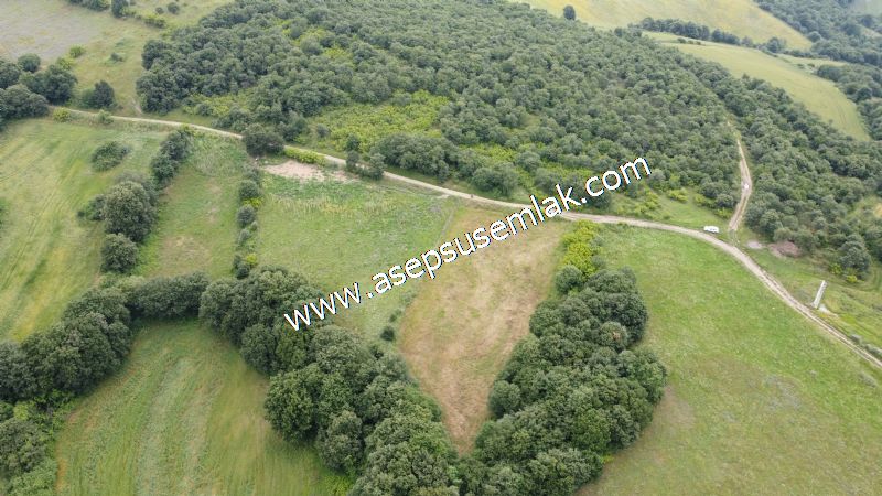4.024 m2 Resmi Kadastro Yola Cepheli Bağ-Bahçe, Hobi Bahçesi