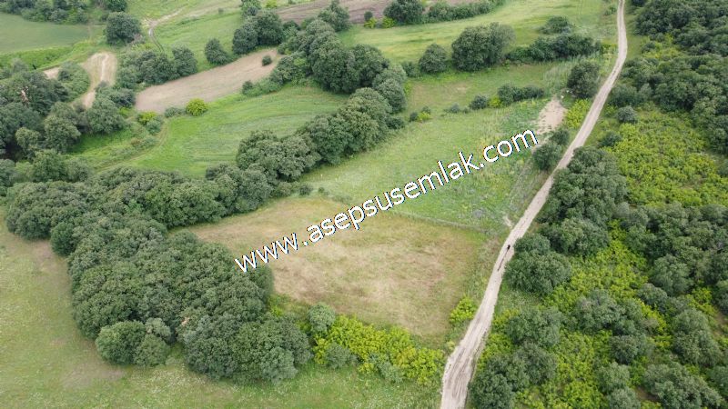 4.024 m2 Resmi Kadastro Yola Cepheli Bağ-Bahçe, Hobi Bahçesi