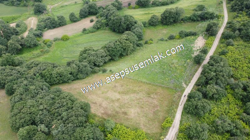4.024 m2 Resmi Kadastro Yola Cepheli Bağ-Bahçe, Hobi Bahçesi