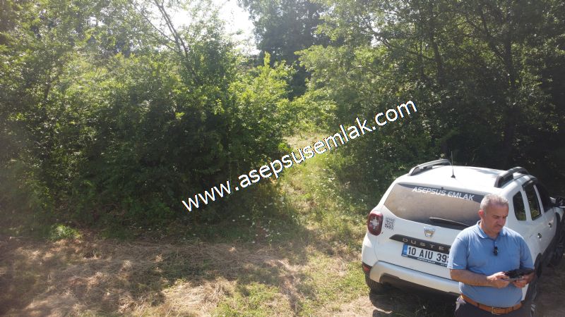 4.607 m2 Resmi Kadastro Yola & Orman Cepheli Hobi Bağ-Bahçesi