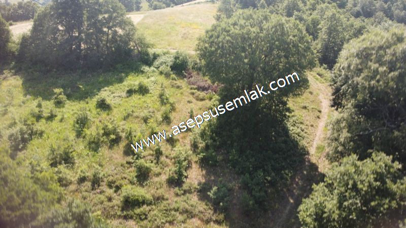 4.607 m2 Resmi Kadastro Yola & Orman Cepheli Hobi Bağ-Bahçesi