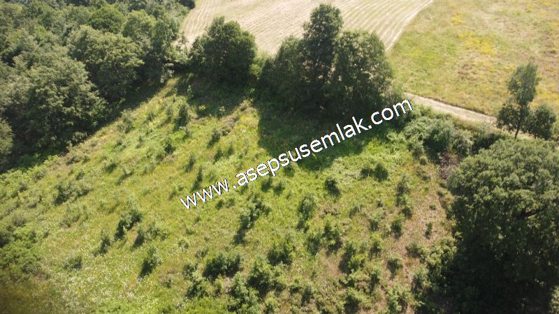 4.607 m2 Resmi Kadastro Yola & Orman Cepheli Hobi Bağ-Bahçesi