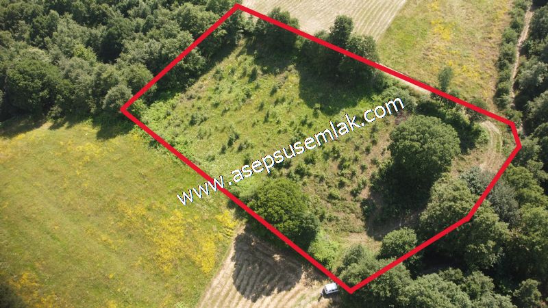 4.607 m2 Resmi Kadastro Yola & Orman Cepheli Hobi Bağ-Bahçesi