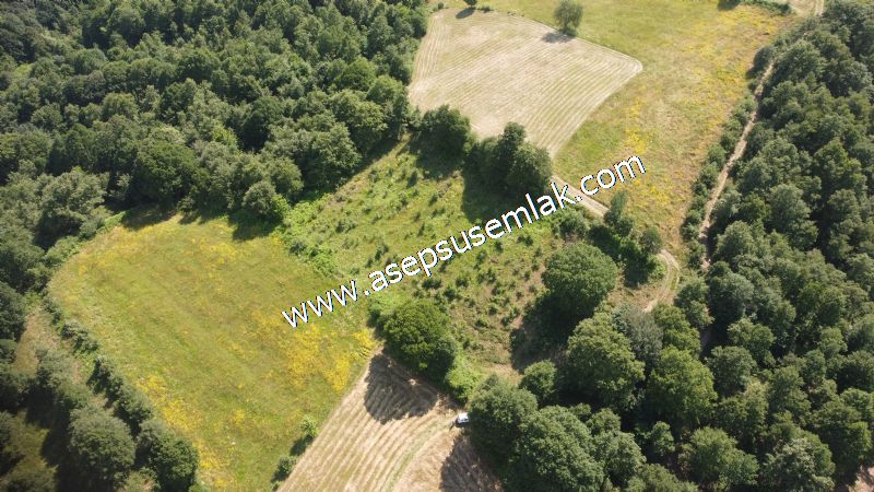 4.607 m2 Resmi Kadastro Yola & Orman Cepheli Hobi Bağ-Bahçesi