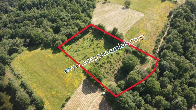4.607 m2 Resmi Kadastro Yola & Orman Cepheli Hobi Bağ-Bahçesi