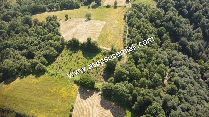 4.607 m2 Resmi Kadastro Yola & Orman Cepheli Hobi Bağ-Bahçesi