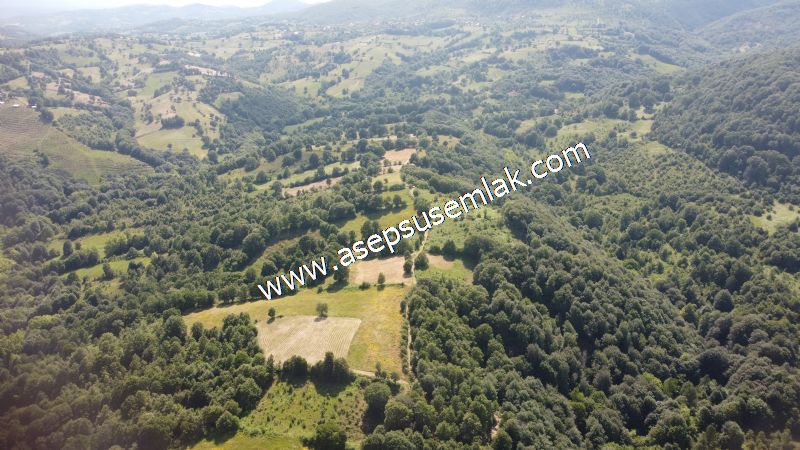 4.607 m2 Resmi Kadastro Yola & Orman Cepheli Hobi Bağ-Bahçesi