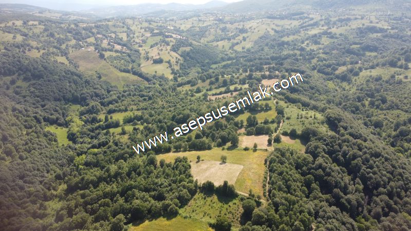 4.607 m2 Resmi Kadastro Yola & Orman Cepheli Hobi Bağ-Bahçesi