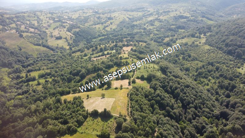 4.607 m2 Resmi Kadastro Yola & Orman Cepheli Hobi Bağ-Bahçesi