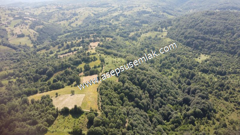 4.607 m2 Resmi Kadastro Yola & Orman Cepheli Hobi Bağ-Bahçesi