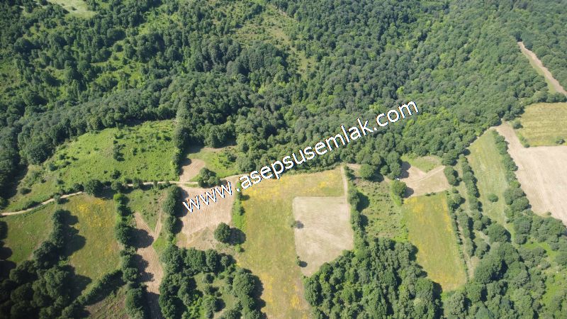 4.607 m2 Resmi Kadastro Yola & Orman Cepheli Hobi Bağ-Bahçesi