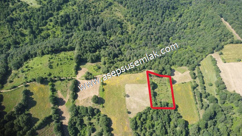 4.607 m2 Resmi Kadastro Yola & Orman Cepheli Hobi Bağ-Bahçesi