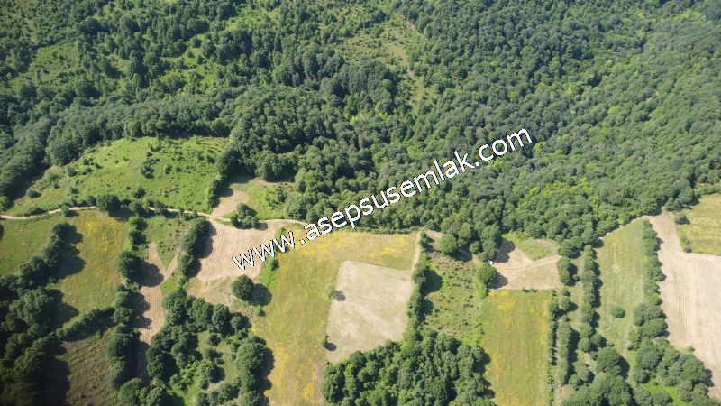 4.607 m2 Resmi Kadastro Yola & Orman Cepheli Hobi Bağ-Bahçesi