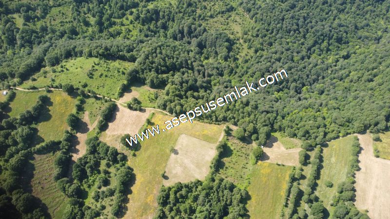 4.607 m2 Resmi Kadastro Yola & Orman Cepheli Hobi Bağ-Bahçesi