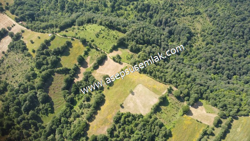 4.607 m2 Resmi Kadastro Yola & Orman Cepheli Hobi Bağ-Bahçesi