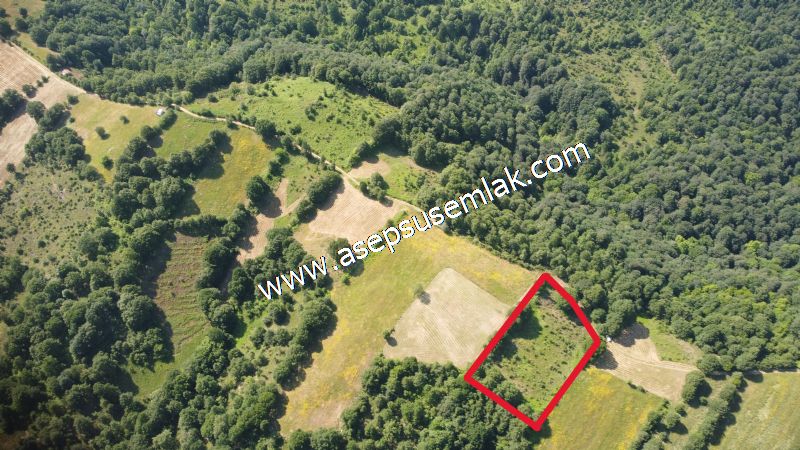 4.607 m2 Resmi Kadastro Yola & Orman Cepheli Hobi Bağ-Bahçesi