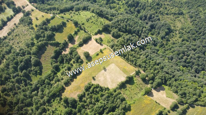 4.607 m2 Resmi Kadastro Yola & Orman Cepheli Hobi Bağ-Bahçesi