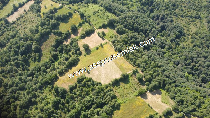 4.607 m2 Resmi Kadastro Yola & Orman Cepheli Hobi Bağ-Bahçesi