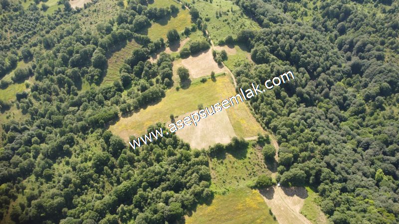 4.607 m2 Resmi Kadastro Yola & Orman Cepheli Hobi Bağ-Bahçesi