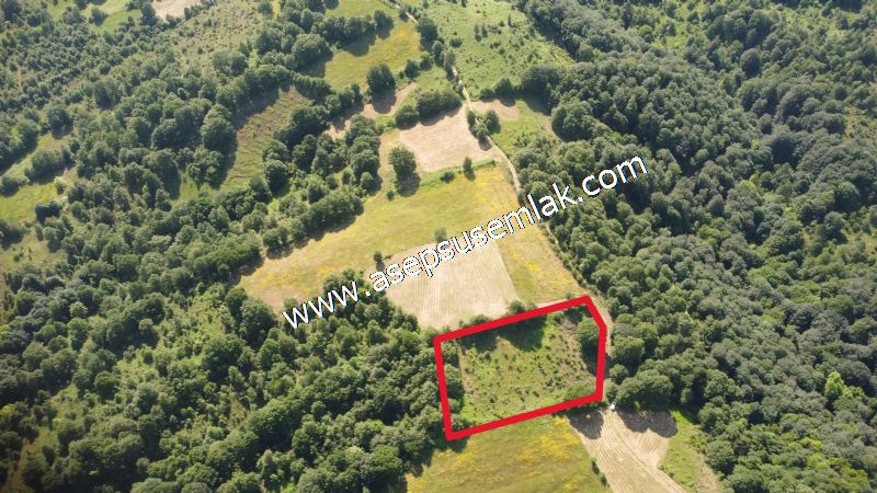 4.607 m2 Resmi Kadastro Yola & Orman Cepheli Hobi Bağ-Bahçesi