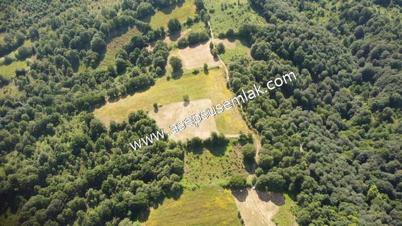 4.607 m2 Resmi Kadastro Yola & Orman Cepheli Hobi Bağ-Bahçesi