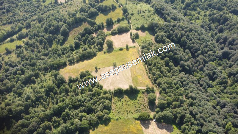 4.607 m2 Resmi Kadastro Yola & Orman Cepheli Hobi Bağ-Bahçesi