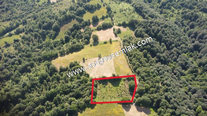 4.607 m2 Resmi Kadastro Yola & Orman Cepheli Hobi Bağ-Bahçesi