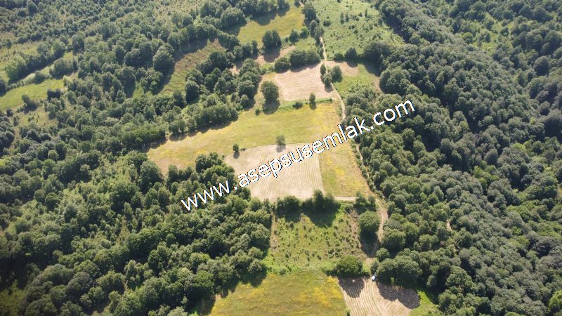 4.607 m2 Resmi Kadastro Yola & Orman Cepheli Hobi Bağ-Bahçesi